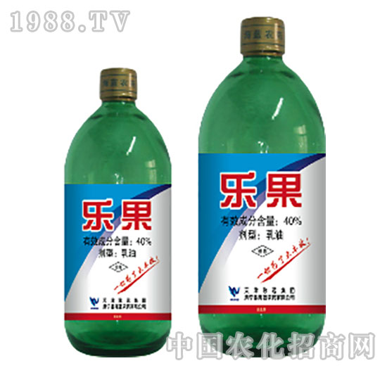 40%����-���{