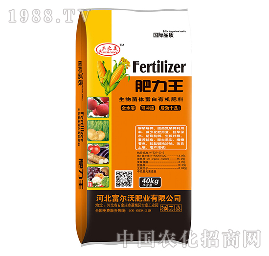 ������w�����ЙC(j��)����-������-������