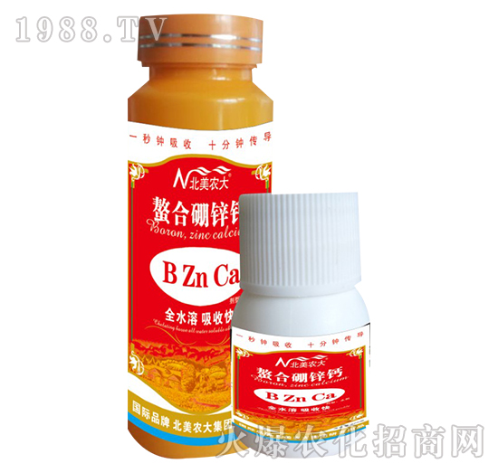 �������\�}-�����r(n��ng)��