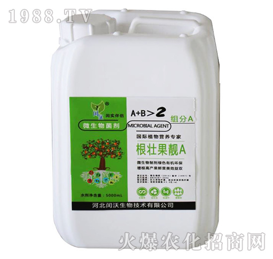 ���ѹ��nA-�c��