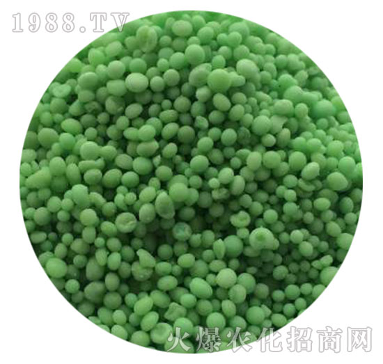 �����B(t��i)����(f��)�Ϸ���20-20-20-���������w����-ֲ������