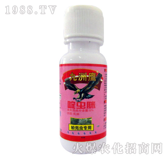 򻚤�x����-5%��x��-������