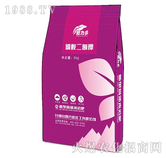 ��������-������-�d�_(d��)����