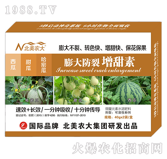 ��������������ܹ�������������-�����r(n��ng)��