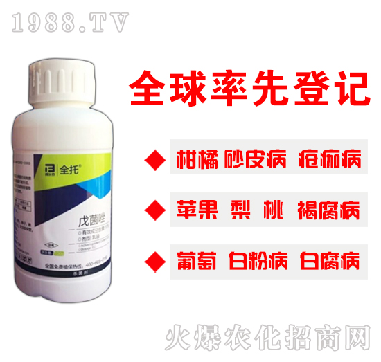 10%�����-ȫ��-�̩