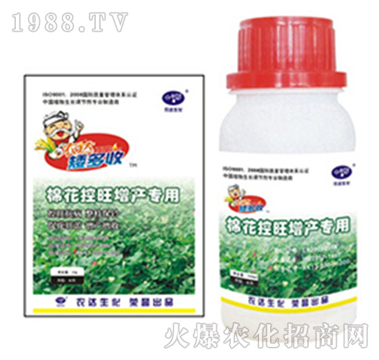 �޻��������a����-������-�r�_����