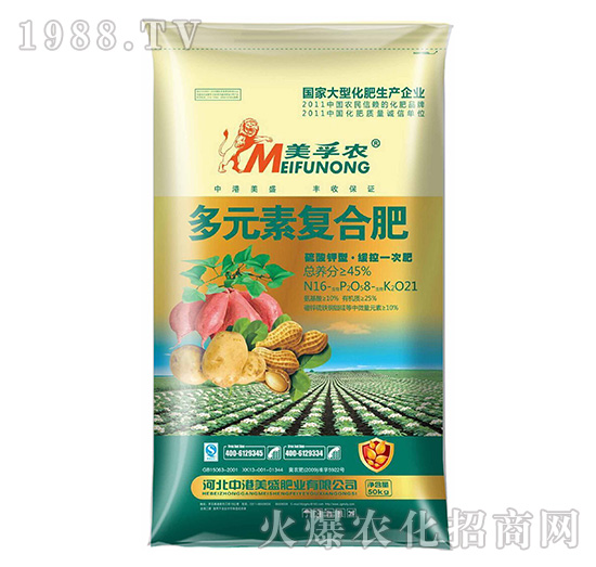 �����r��Ԫ�؏ͺϷ�16-8-21