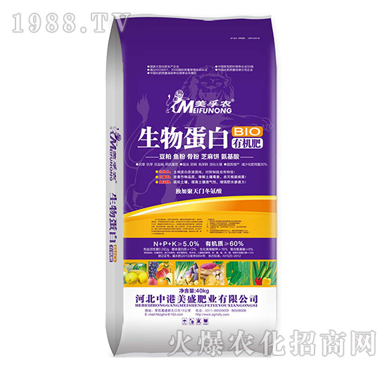 ���ﵰ���ЙC(j��)��