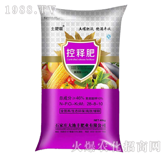 ��ጷ�28-8-10-����S