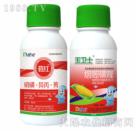 ���t+���l(w��i)ʿ-�hҊ�r�I(y��)