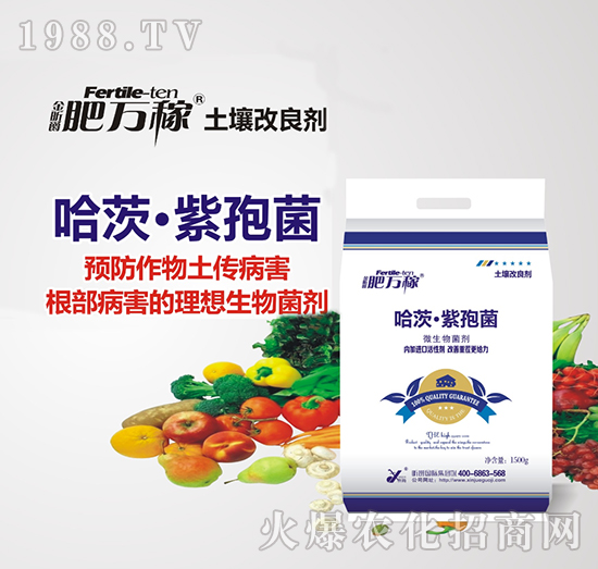 ΢�������-���ġ����߾�-���f��-꿾�