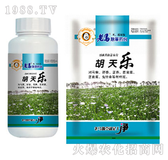 ���R����ˎ��-���옷(l��)-�����r(n��ng)�I(y��)