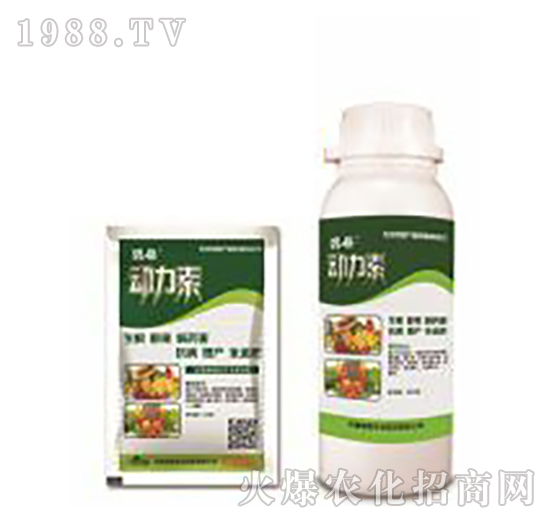 ������-�̸�-�ɭ�r(n��ng)�I(y��)