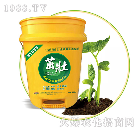 �ѣ�΢������ʣ�-�Ԡ��G��