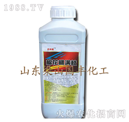 �޻��ҝM֦-��ɽ���S