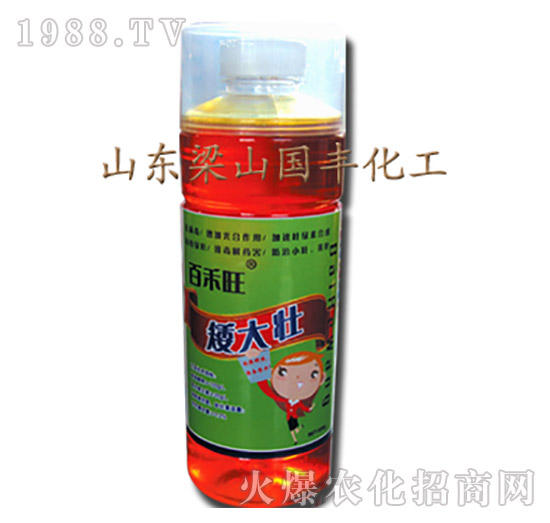 �����-��ɽ��(gu��)�S