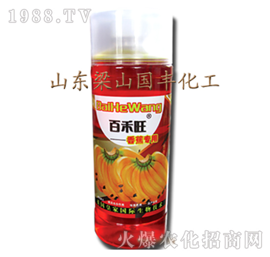 �㽶�����~���-��ɽ���S