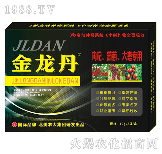 ������-������������󗗌���-�����r(n��ng)��