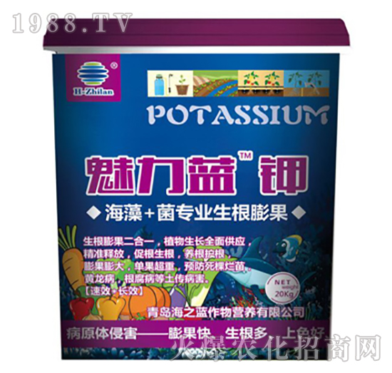 �����{�-��֮�{