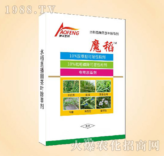 10%�p����-ħ��-ͬ�S