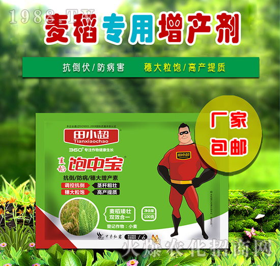 100g������Ќ�-��С��