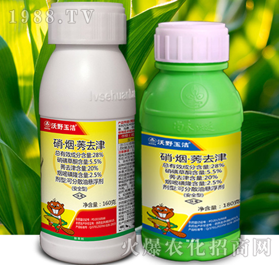 28%��������ݬ-��Ұ��-�к����_(d��)