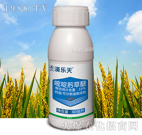 10%���뿲���-�h��(l��)��-�к����_(d��)