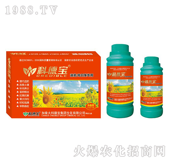 �Ͳ������տ����àI(y��ng)�B(y��ng)���a(ch��n)�{(di��o)�턩-�Ƶ�