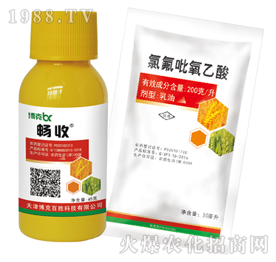 2�ס��p��+�ȷ���������-���˰ل�