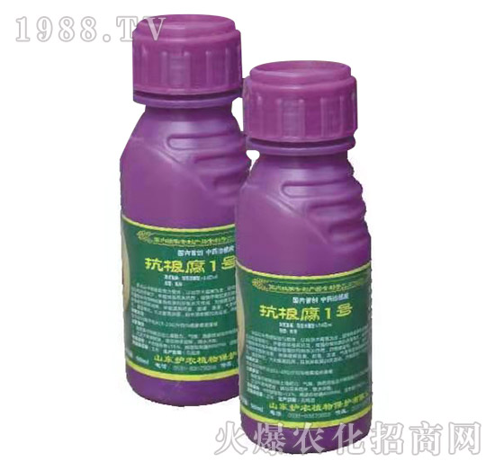 ������1̖-�o(h��)�r(n��ng)