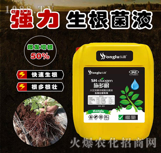 ��(qi��ng)��������Һ-ʩ���-��С��