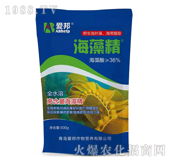 ���徫-��(��i)��