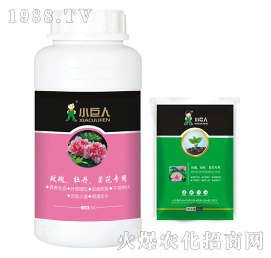 õ����ĵ�����ջ������{(di��o)��(ji��)��-С����