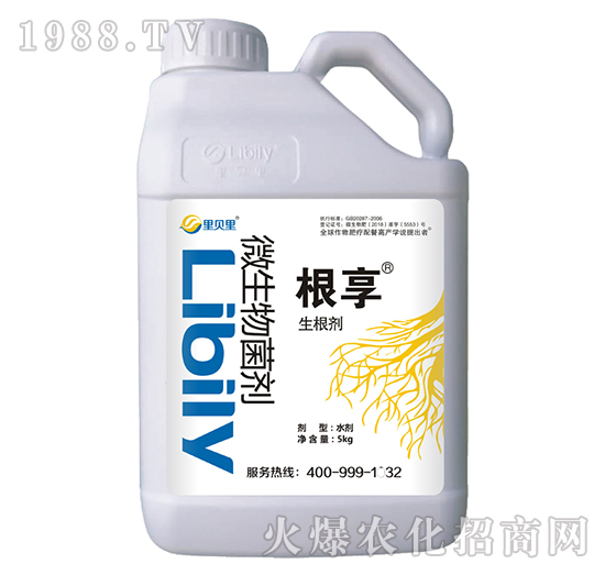 ΢�������-����-��ؐ��