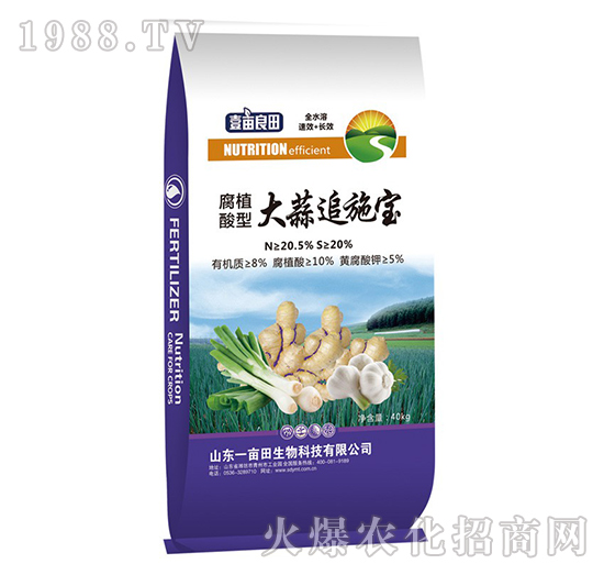 ����׷ʩ��(��ֲ���ͣ�-Ҽ������