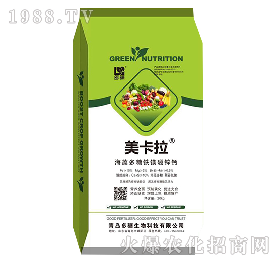 ��������F�V���\�}-������-���P����