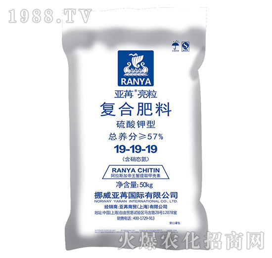 ������͏ͺϷ���19-19-19-��������-���ۇ��H