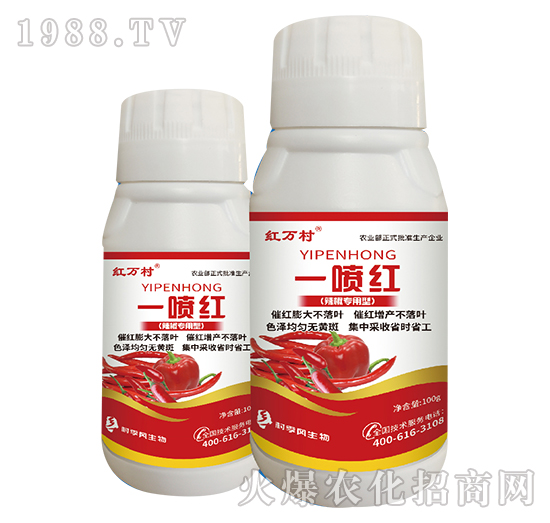 ����һ���t-���˹����r(n��ng)��