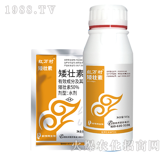 50%������-���˹����r��