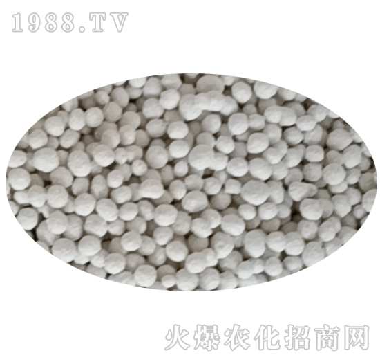 ���ʘ�Ʒ-�r(n��ng)�_����