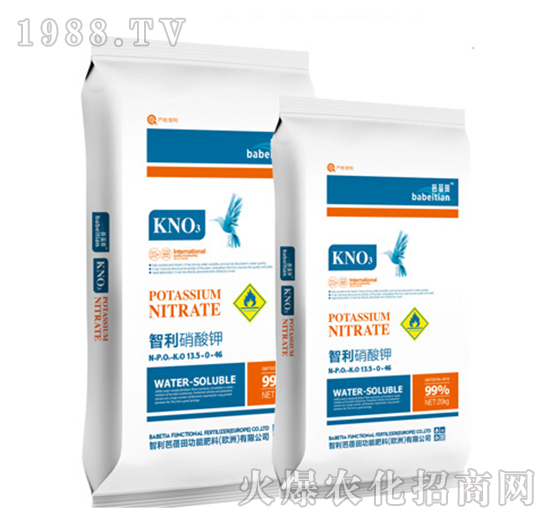 ���������13.5-0-46-������-�vɭ�ʘI(y��)