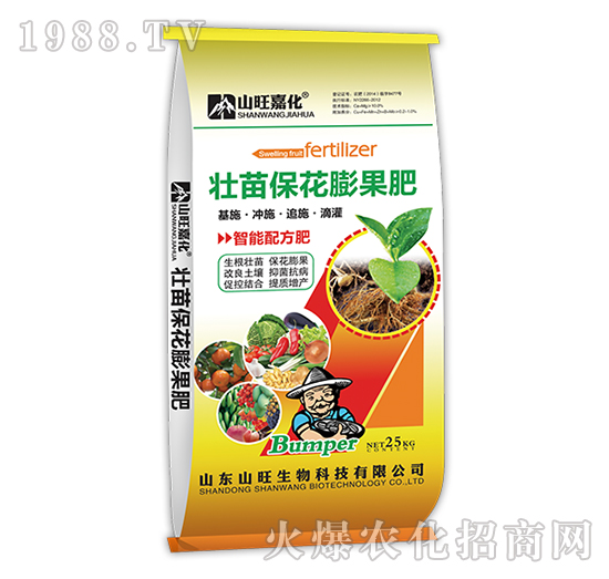 ���籣�������-ɽ��