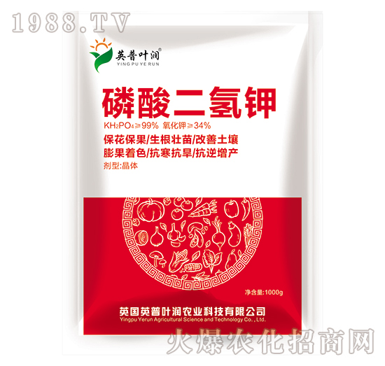 ��������-Ӣ���~��