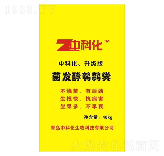 ���l(f��)���g���S-�пƻ�