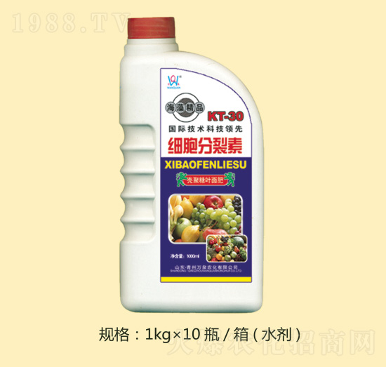 ���徫Ʒ��(x��)��������-�fȪ�r(n��ng)��