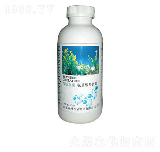 ���ĺ��������}-�fȪ�r��