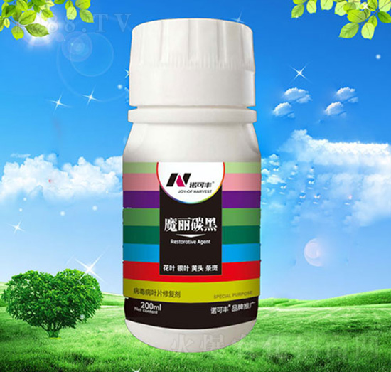 ħ��̼��-�Z���S