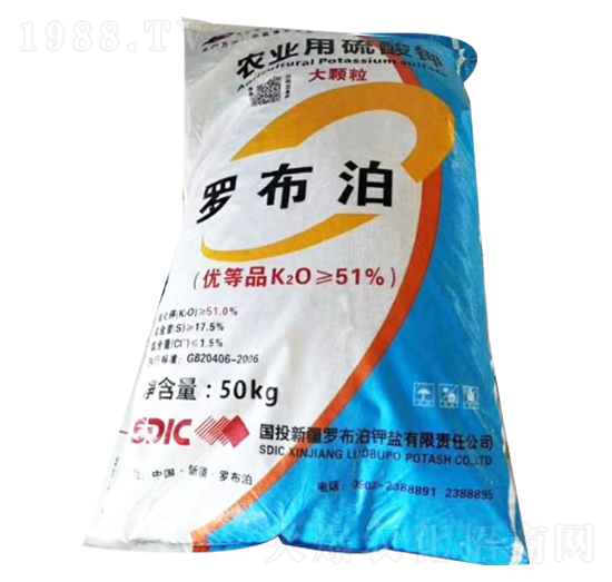 �r�I(y��)�������-�_����-��Դ�ʘI(y��)