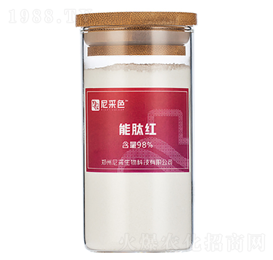 98%�ļt-�������