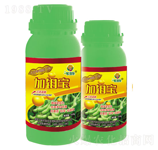 ���(l��i)����-���f��-�r(n��ng)�̘�(l��)